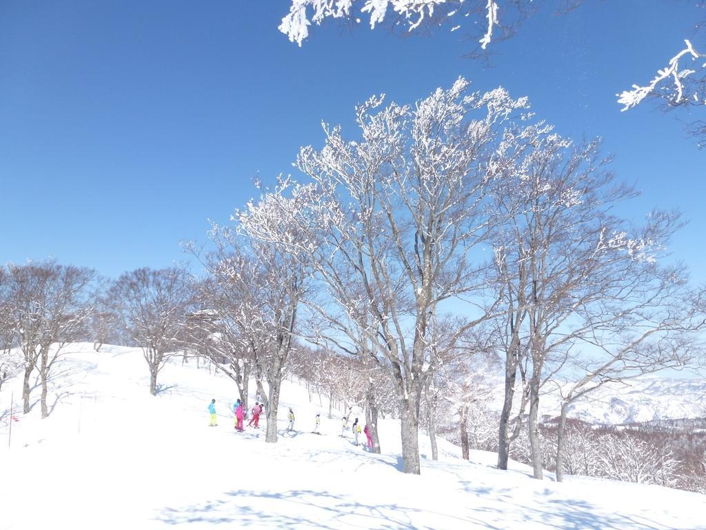 Tobei Hotel Nozawaonsen Bagian luar foto