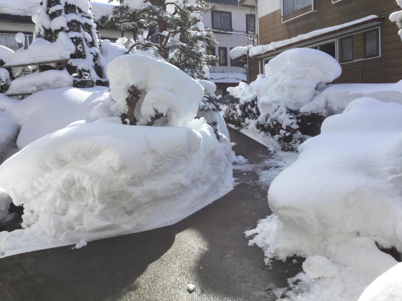 Tobei Hotel Nozawaonsen Bagian luar foto