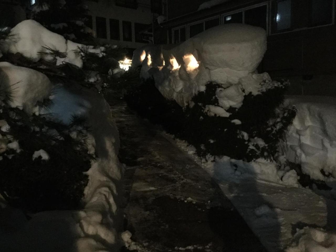 Tobei Hotel Nozawaonsen Bagian luar foto
